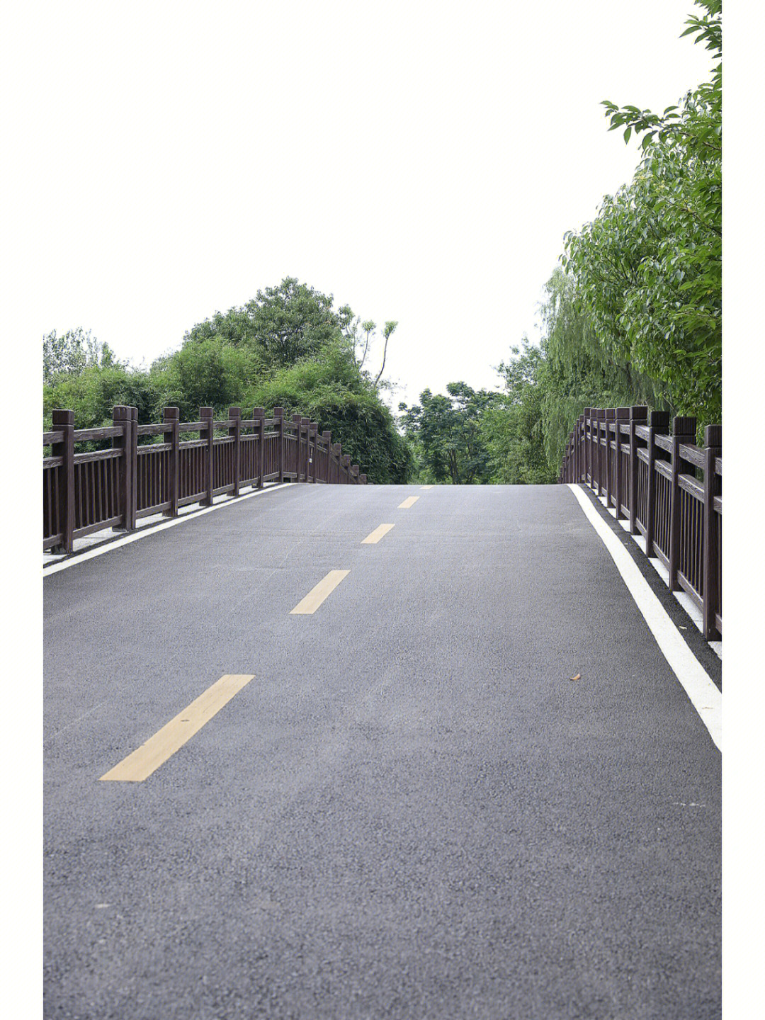 广州基佬很多的公园图片