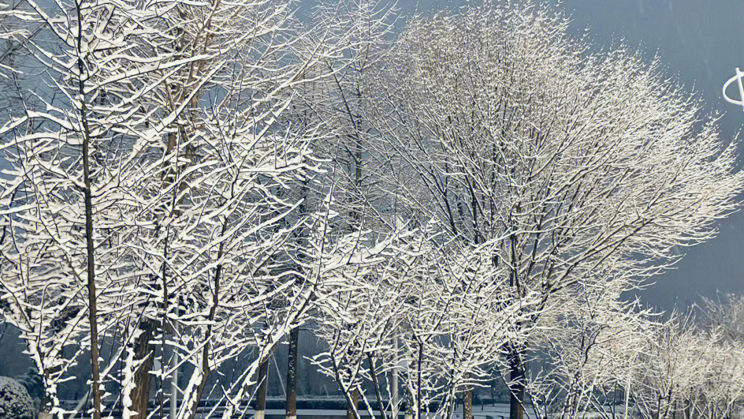 2022年郑州第一场雪