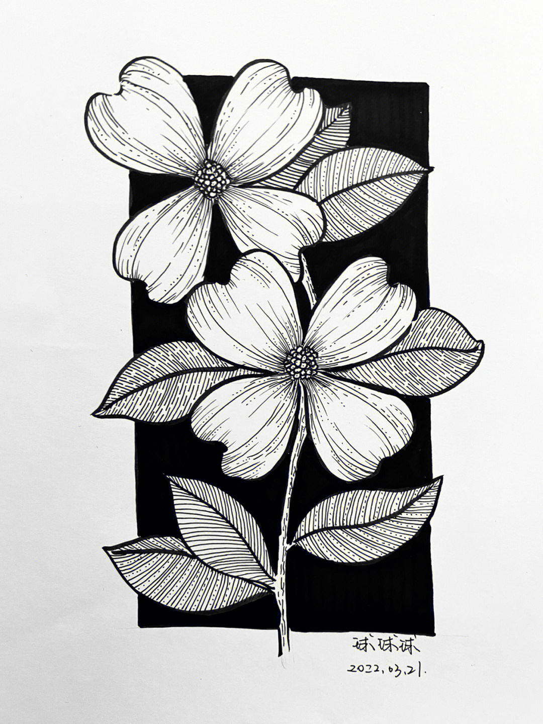 花的装饰画黑白简单图片