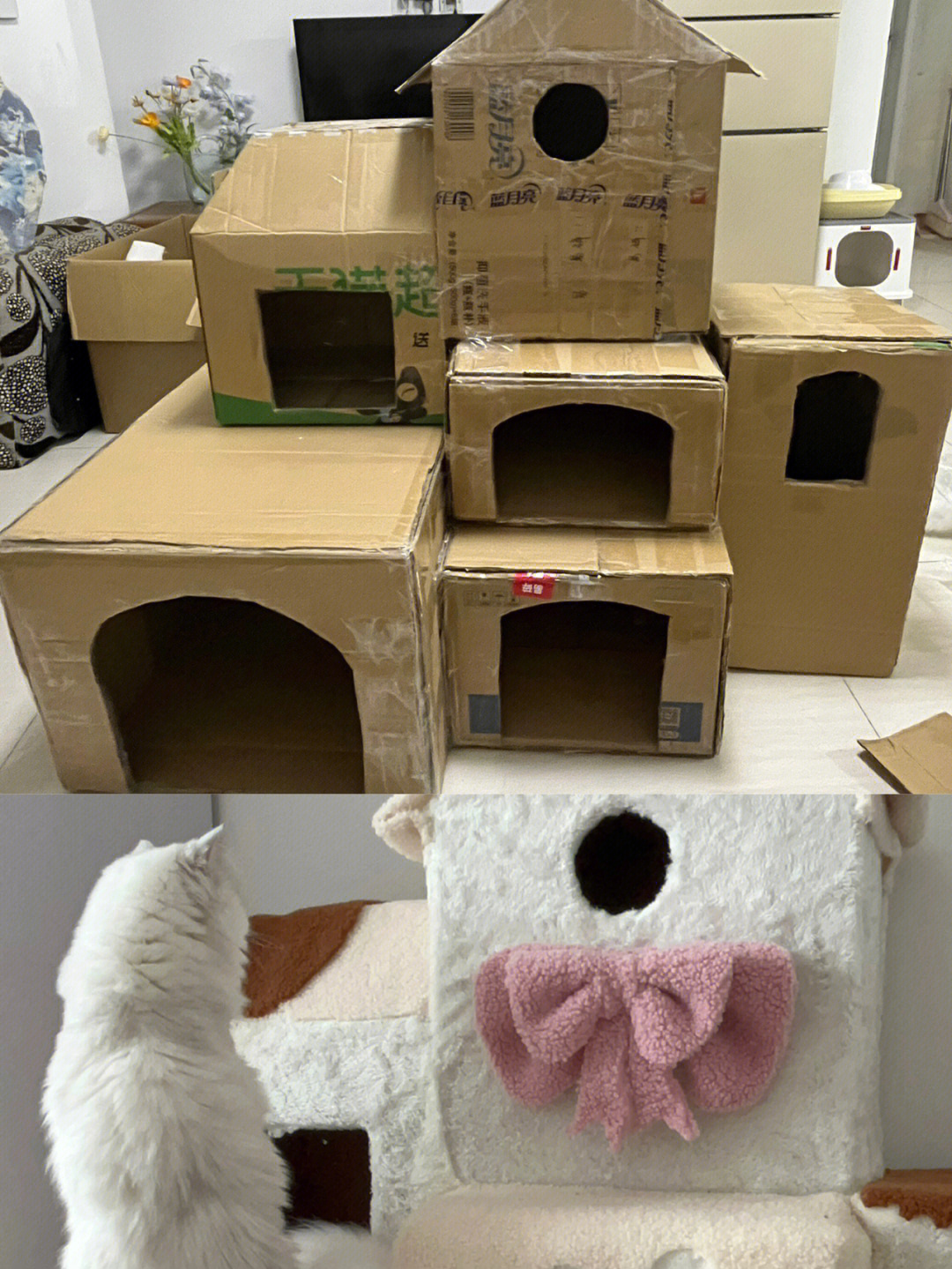 自制猫窝小别墅纸盒低成本猫窝diy