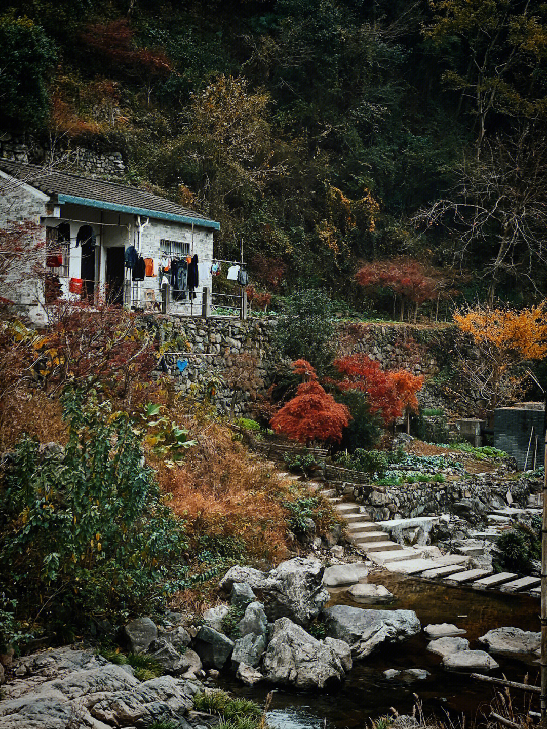 奉化栖霞村图片