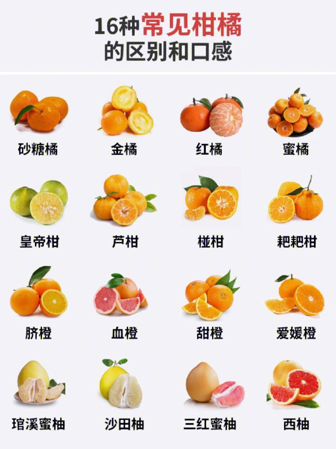 16种常见柑橘的区别和口感