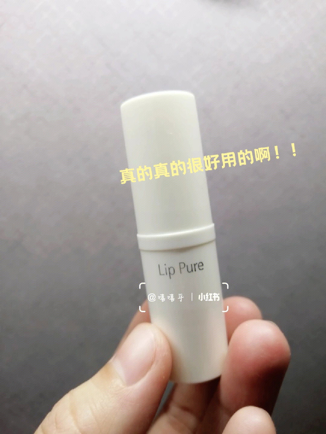 lip pure petit图片