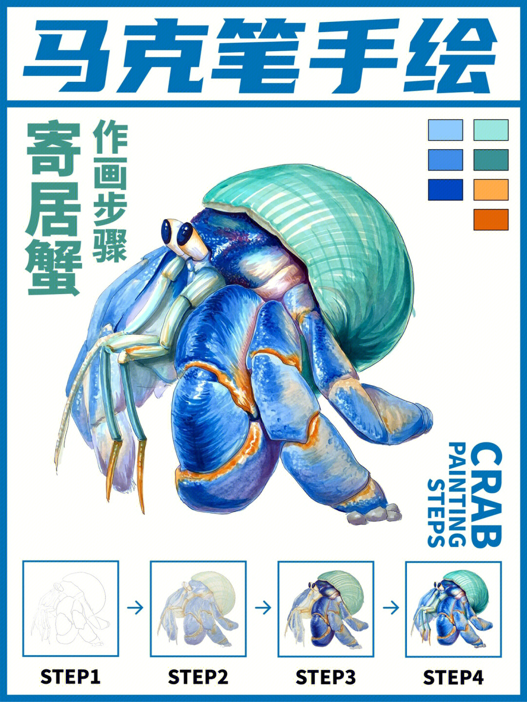 寄居蟹彩铅图片