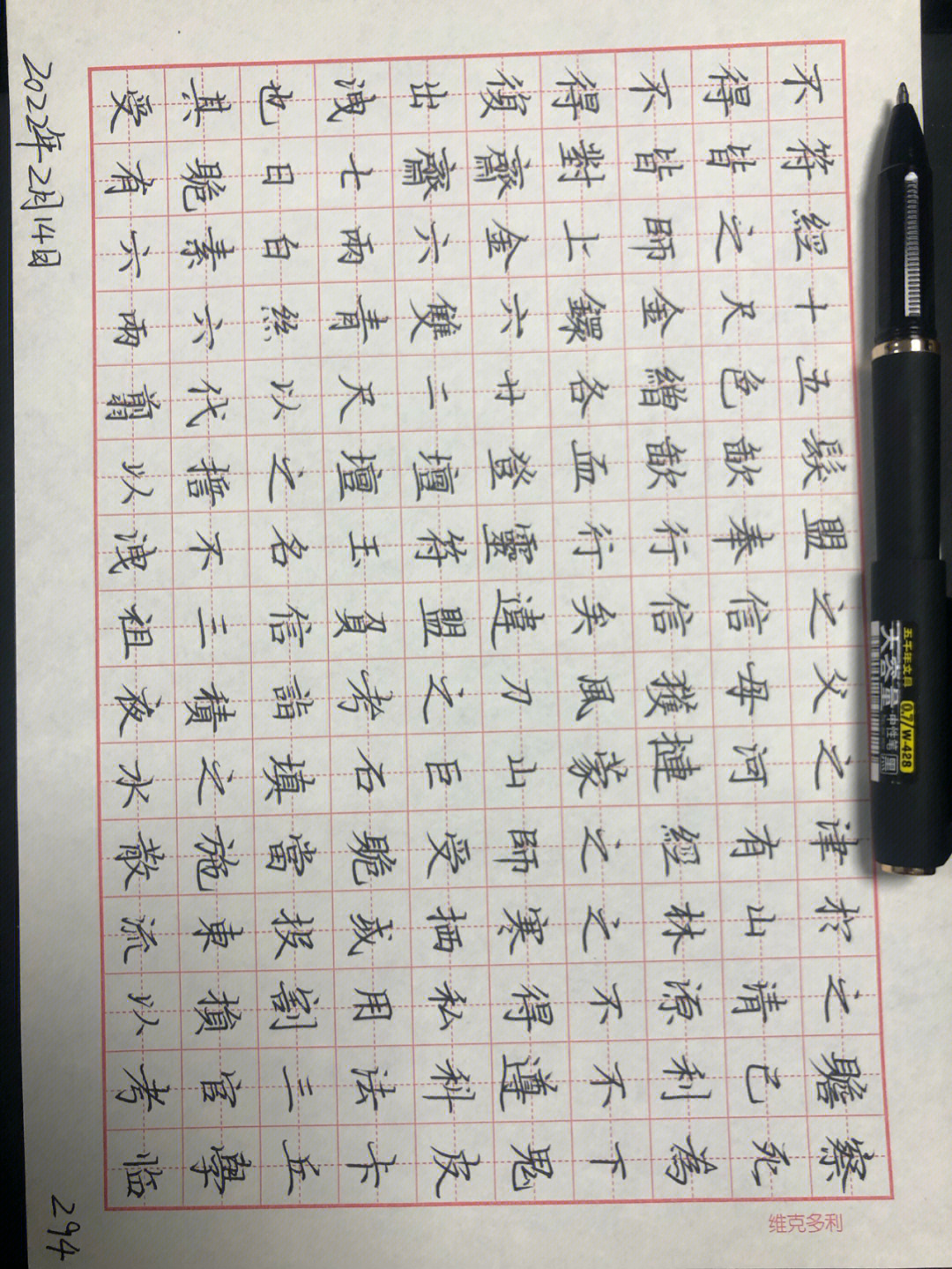 294字的硬笔书法作品图片