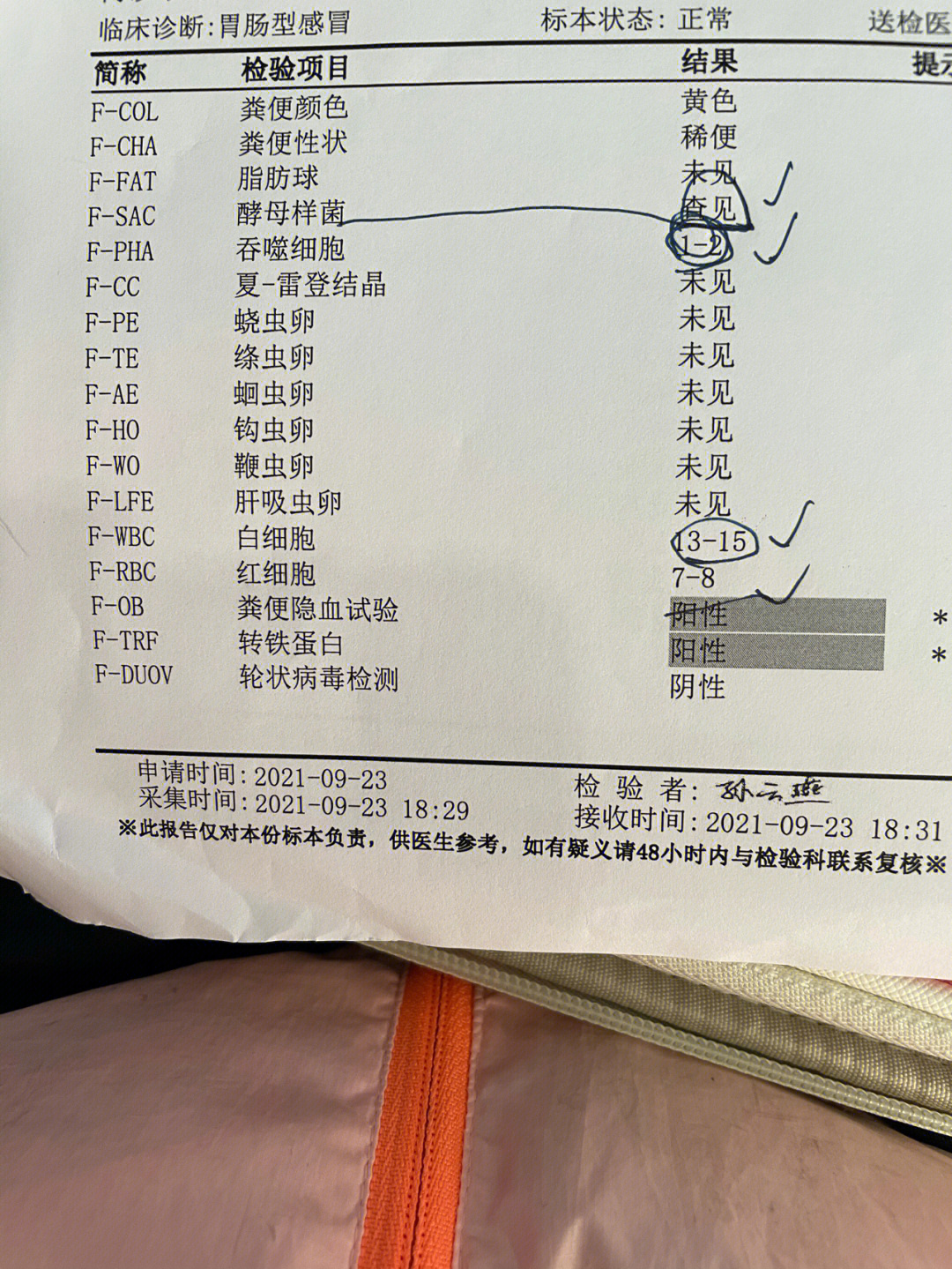 肠炎化验单图片