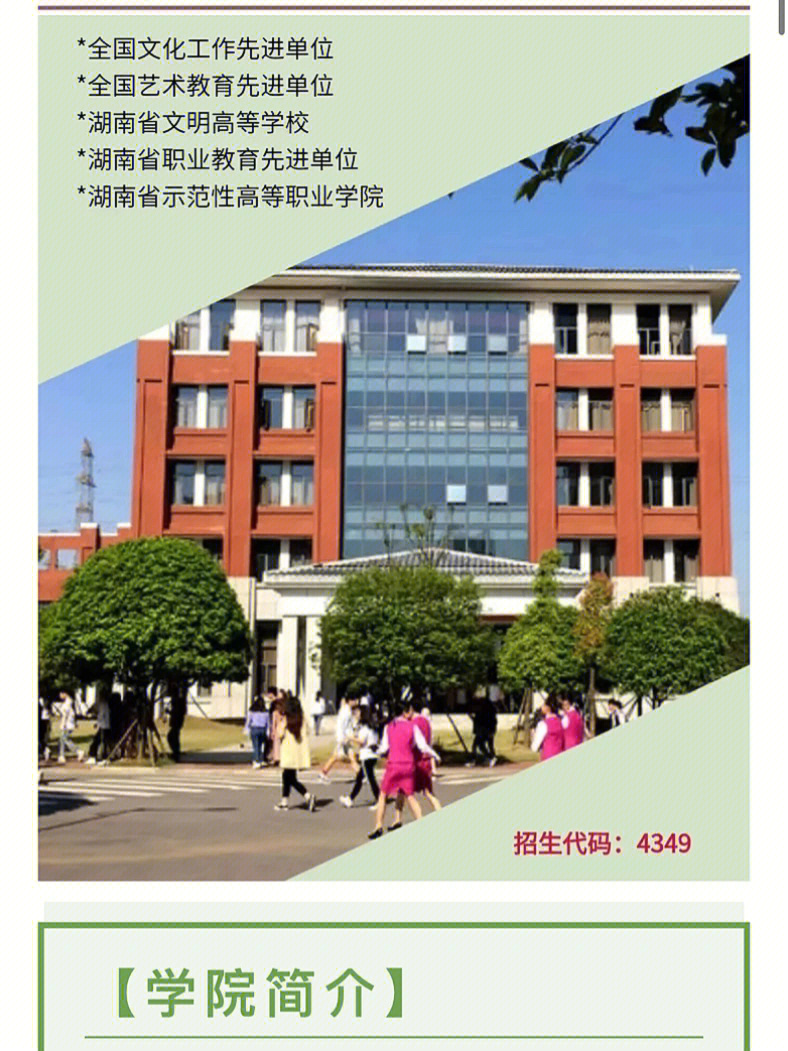 湖南艺术职业学院代码图片