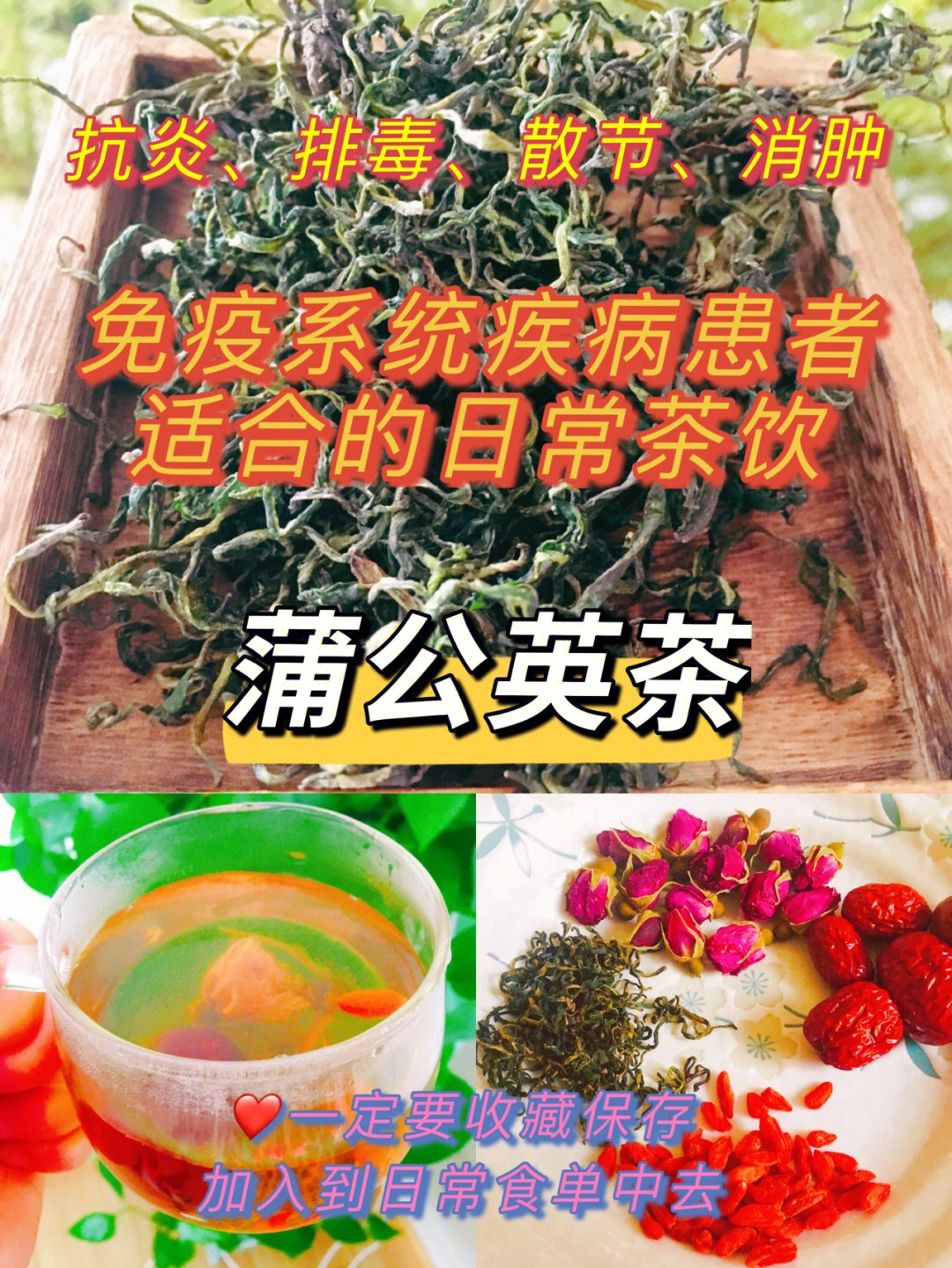 消炎排毒日常茶饮蒲公英茶