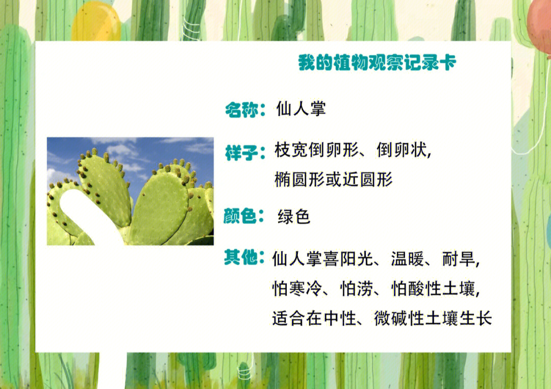 仙人掌植物资料卡图片