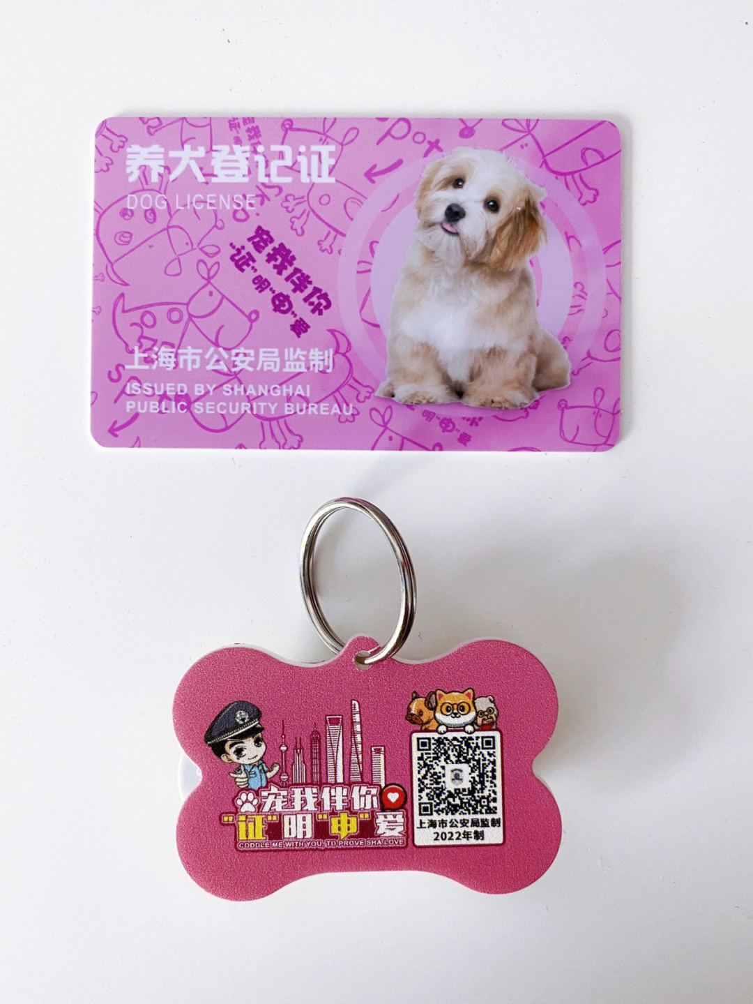 上海狗证图片