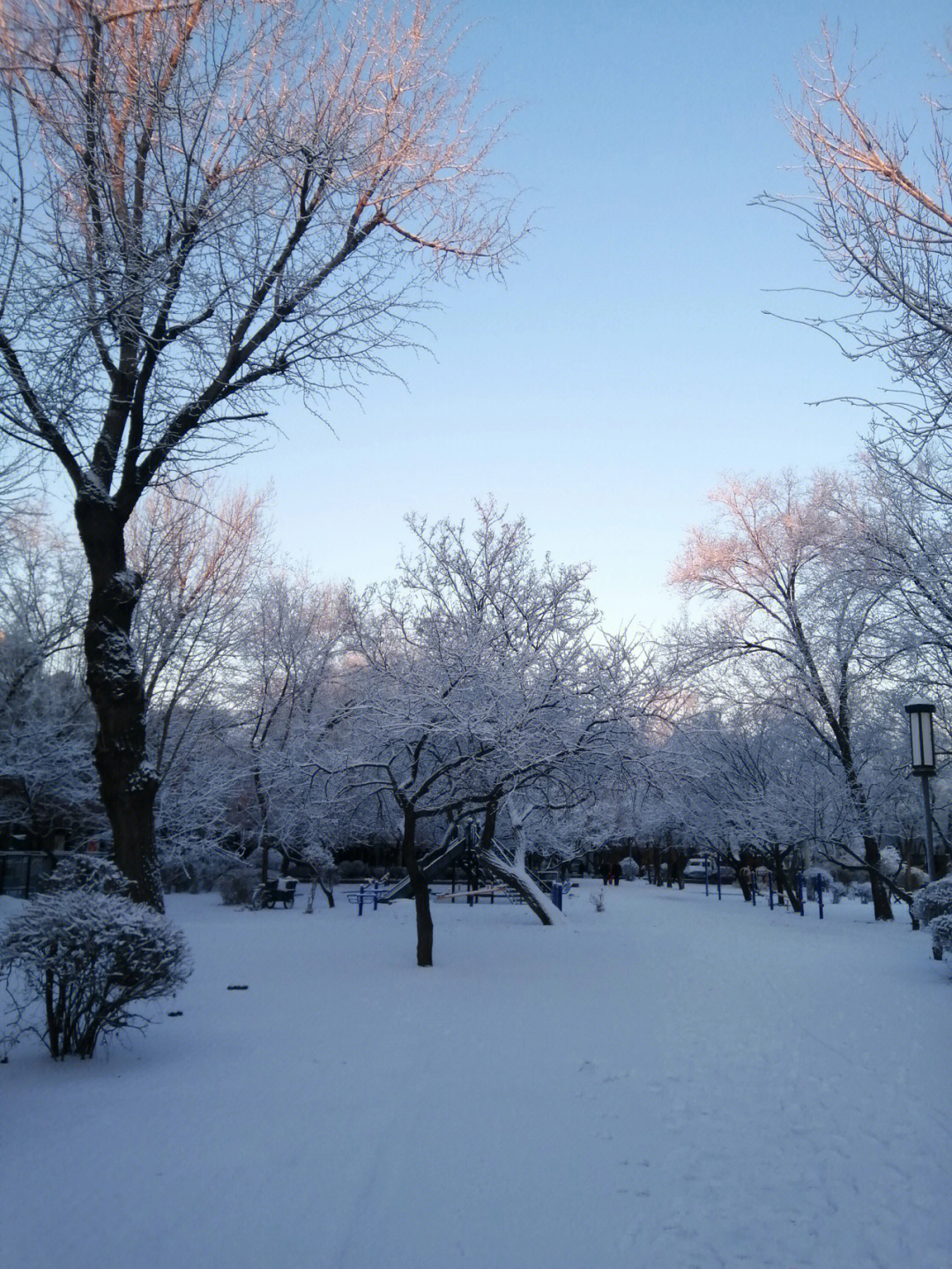 拍照圣地#拍照#拍照圣地#沈阳旅行#我的照片下雪啦