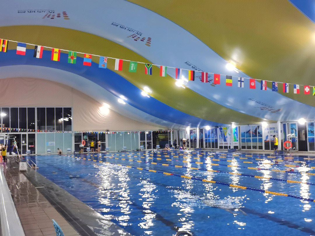 广州奥体游泳馆图片