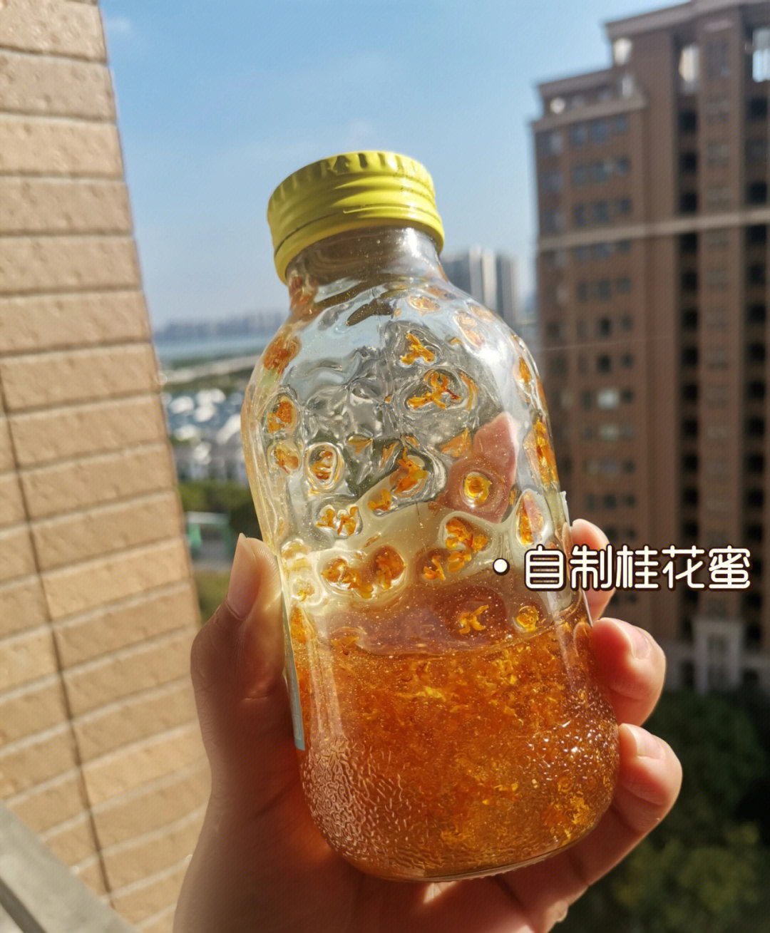 桂花蜜小手图片