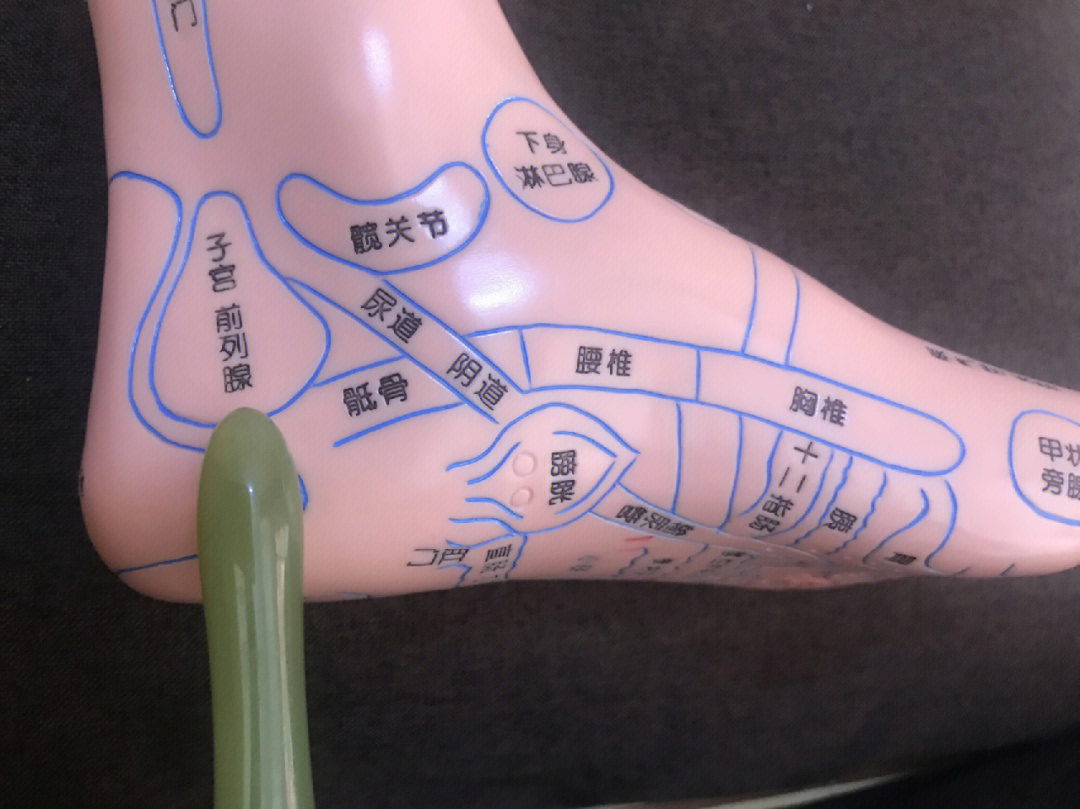前列腺足部反射区图片