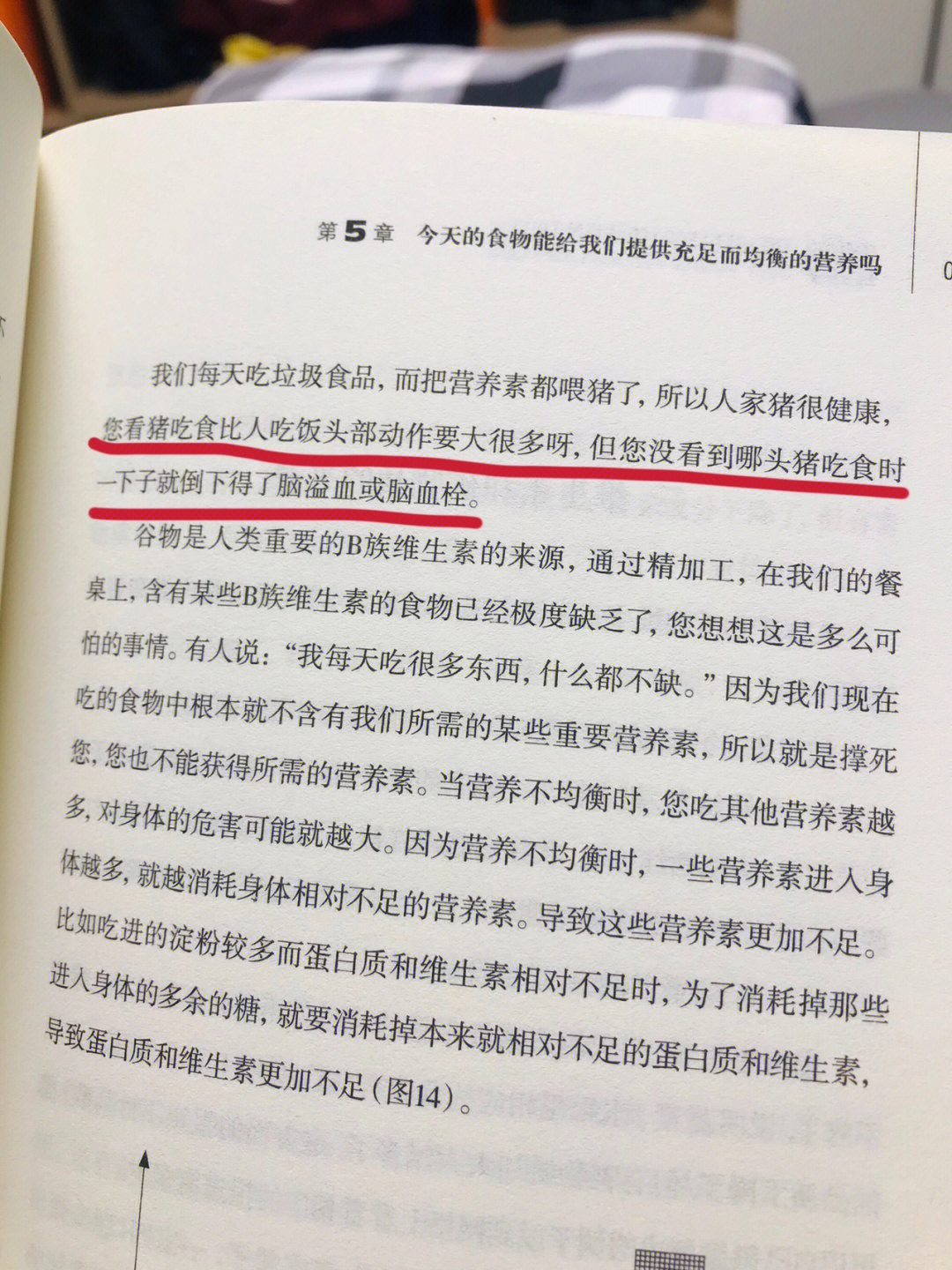 蔽骨有什么作用图片