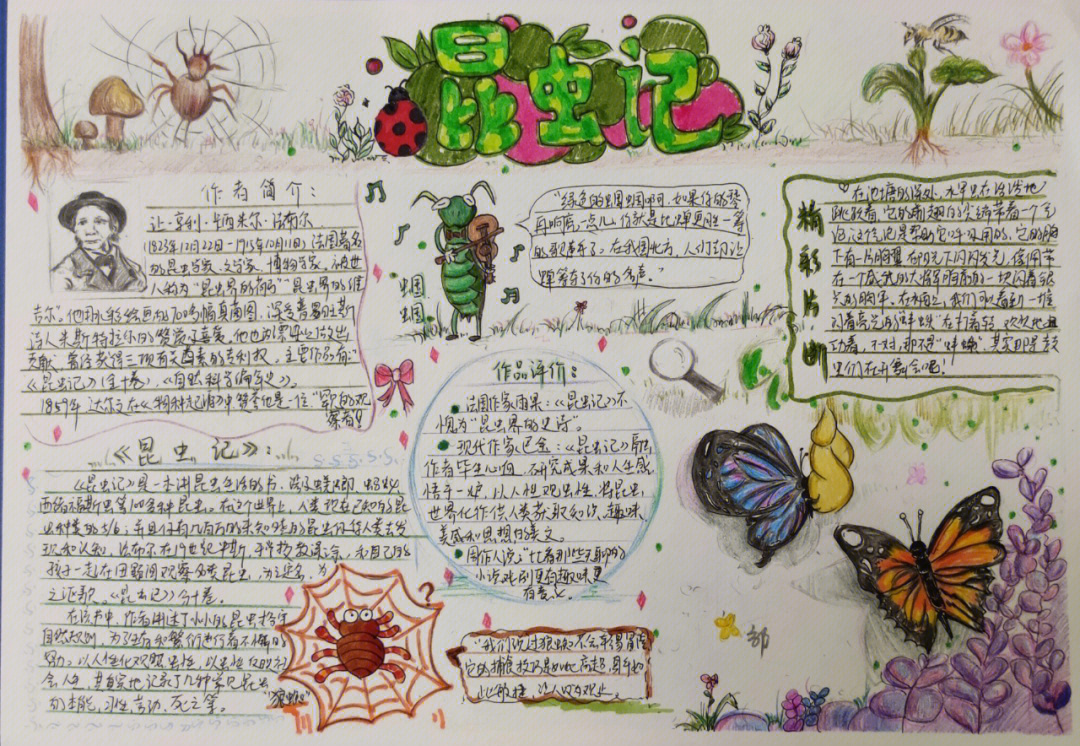 昆虫记的手抄报二年级图片