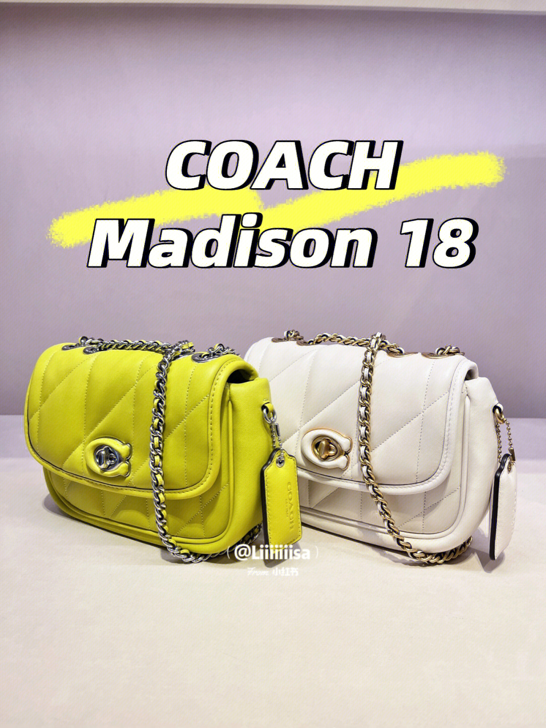 madisoncoach图片