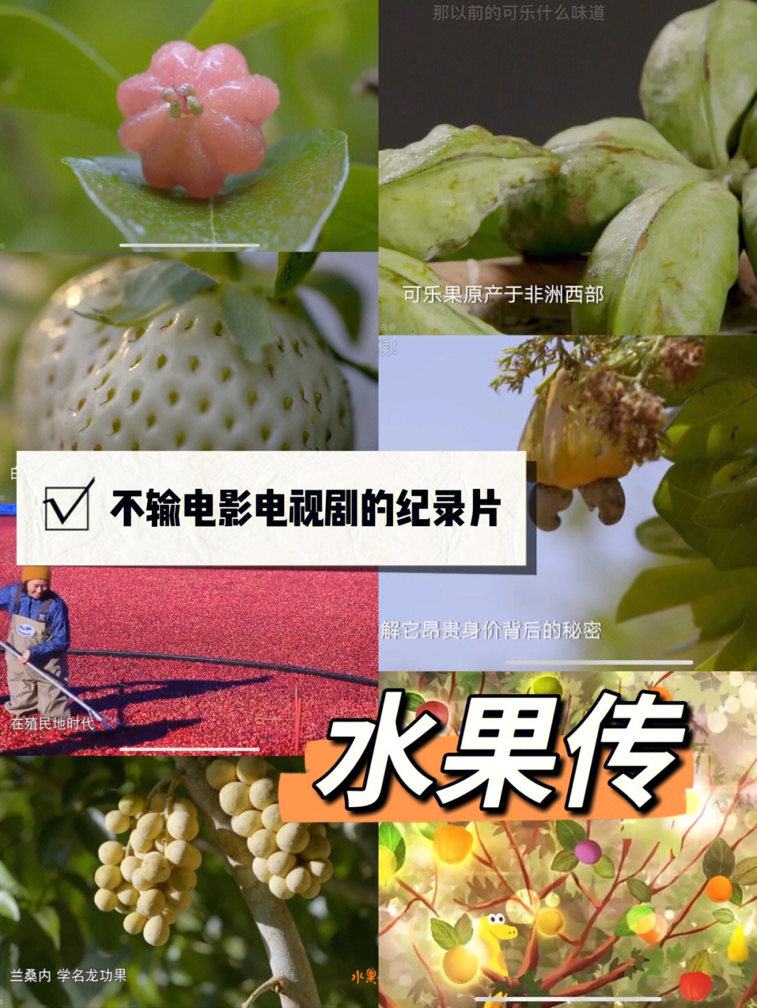 水果传第三季图片