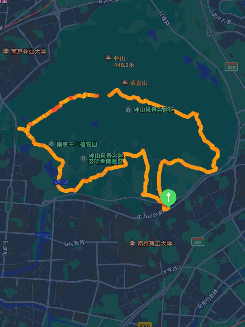 紫金山公园浏览图图片