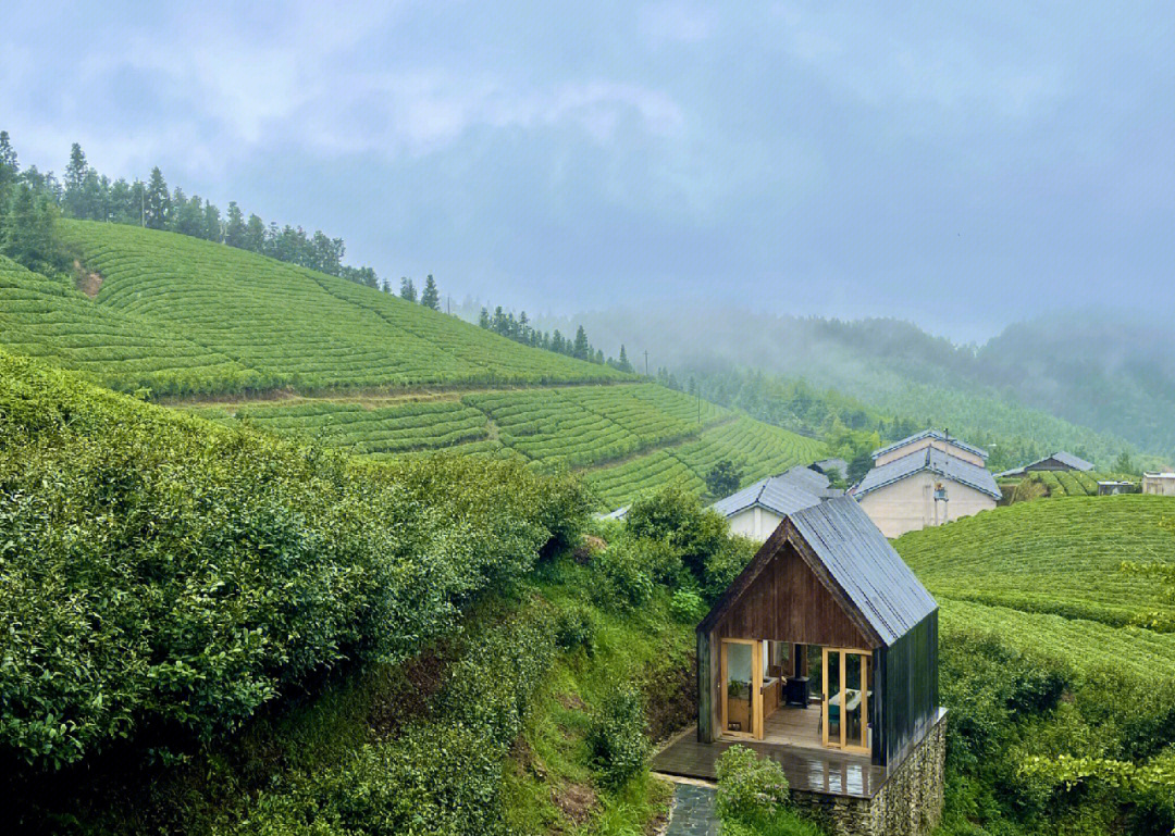 小茶山茶园民宿景区图片