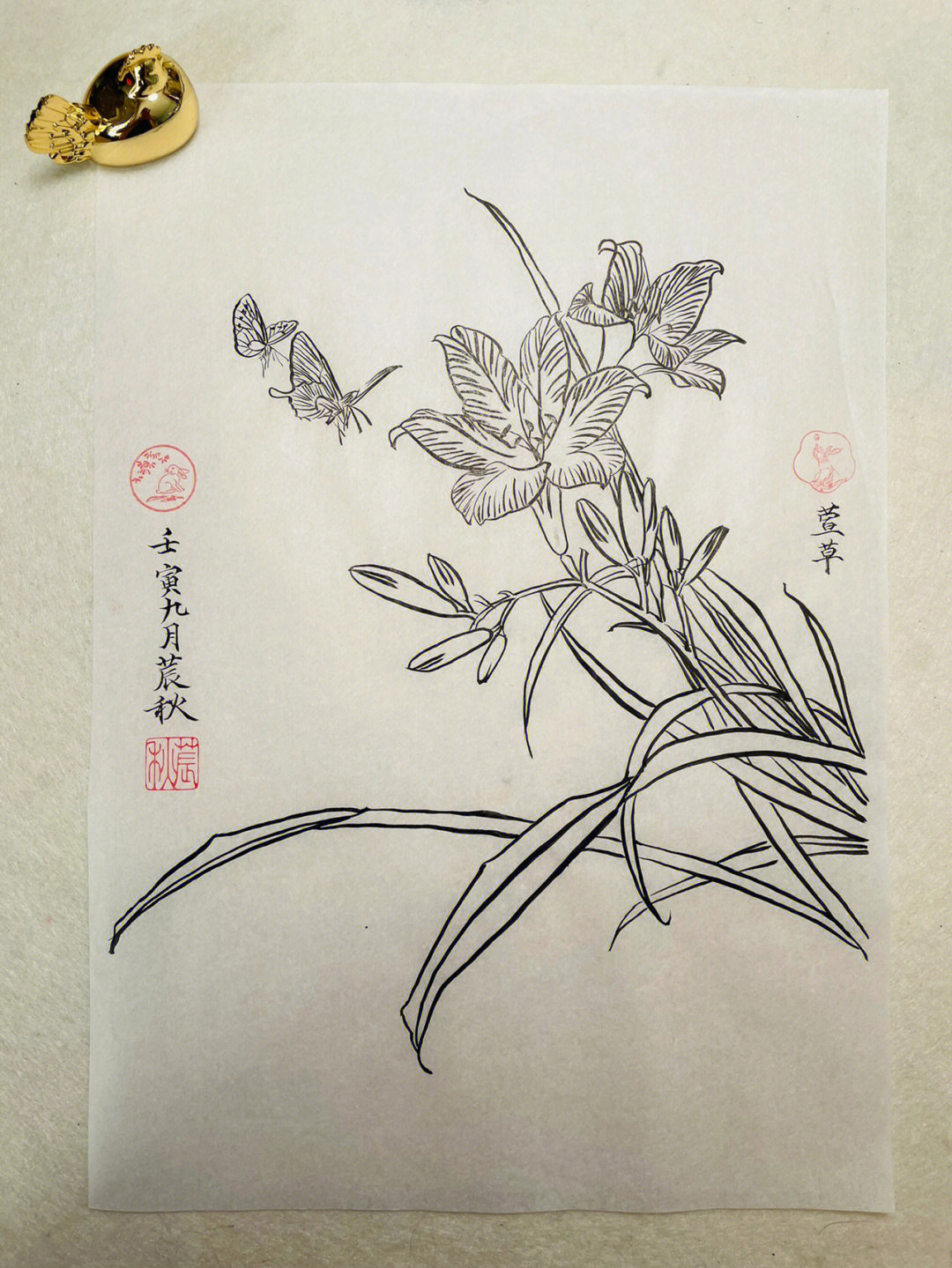 萱草花图片 画法图片