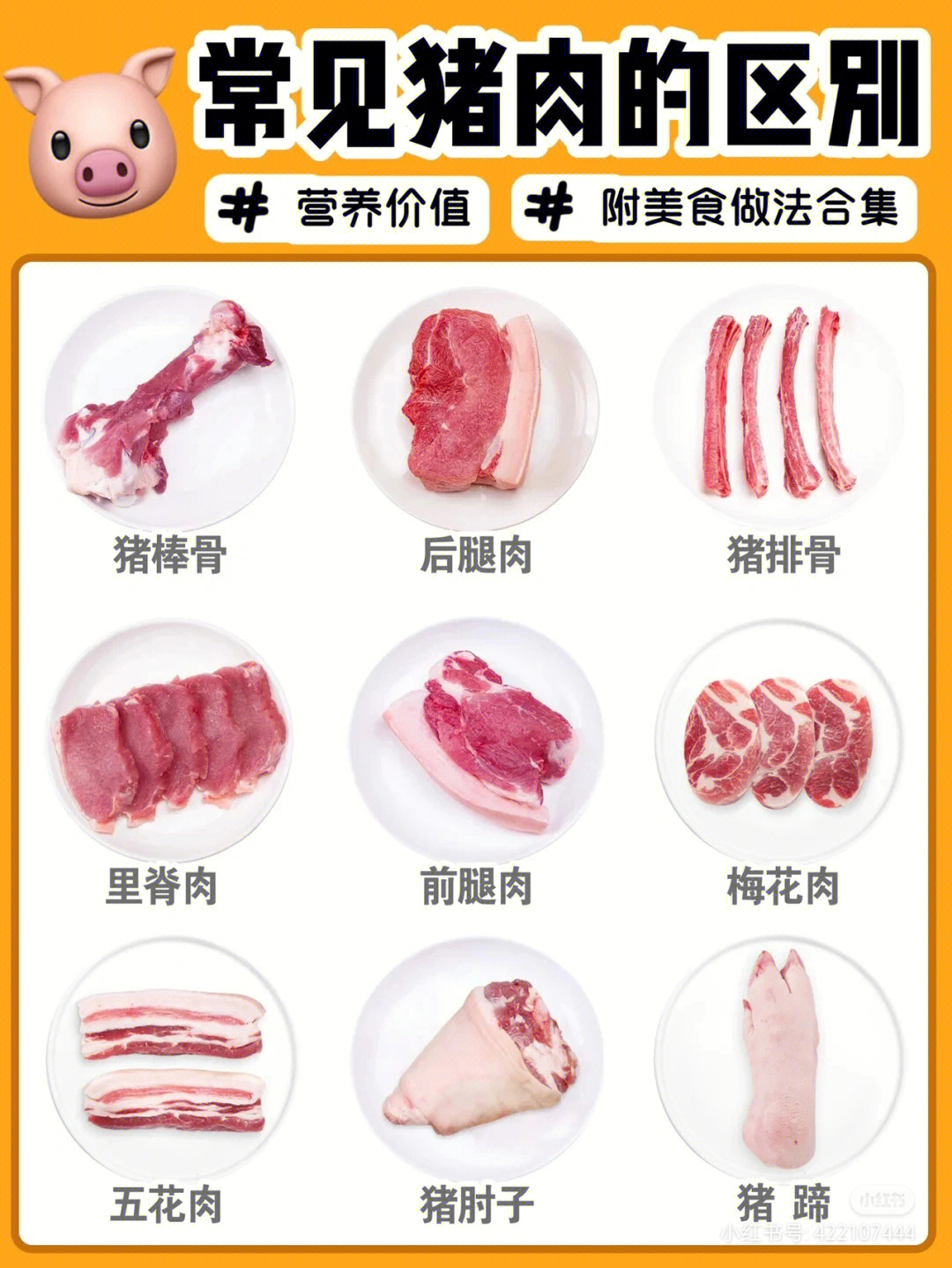 【猪肉说明书】猪肉营养价值区别附美味做法6015