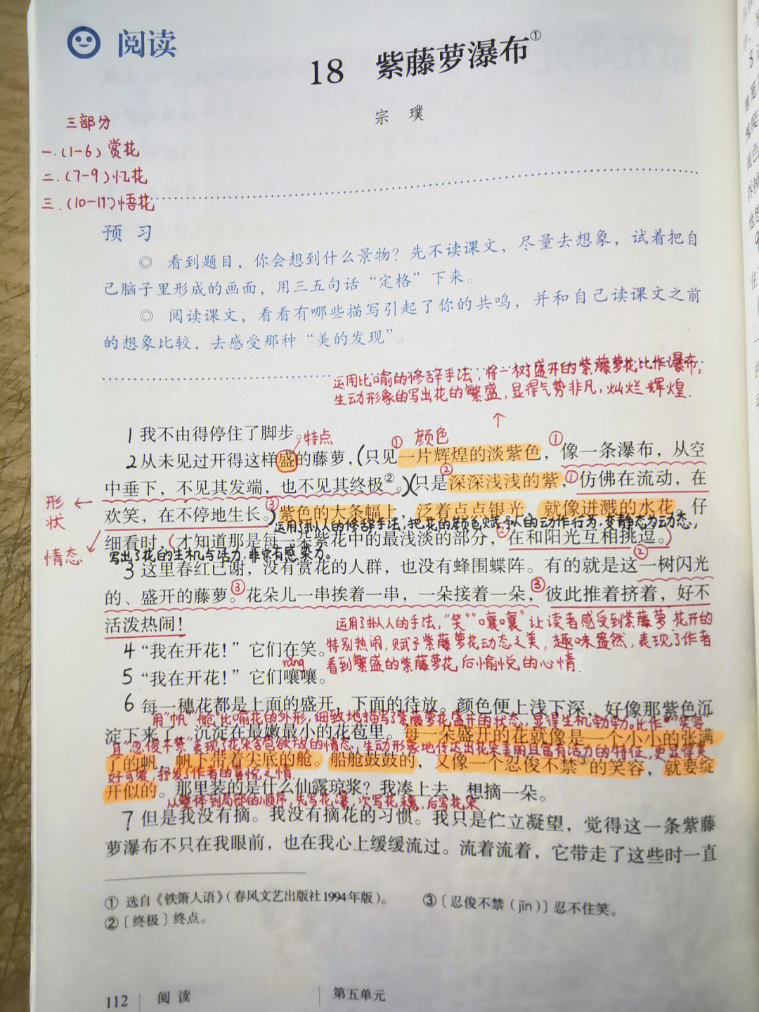 紫藤萝瀑布课文原文图片