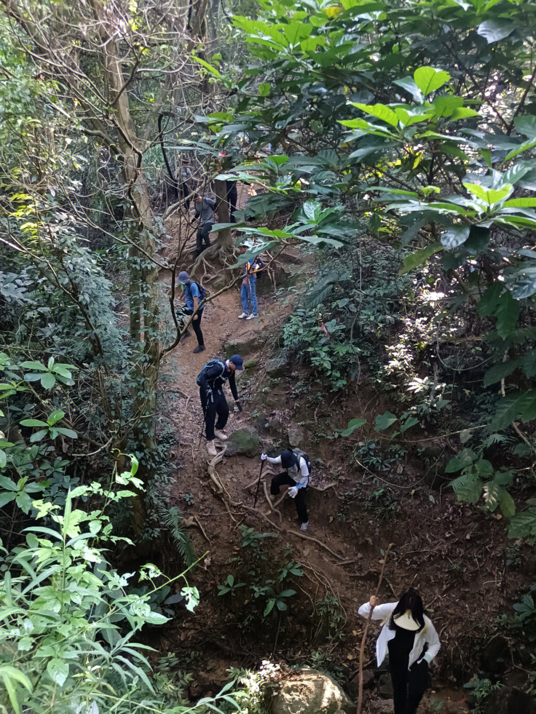 广州牛头山徒步线路图片