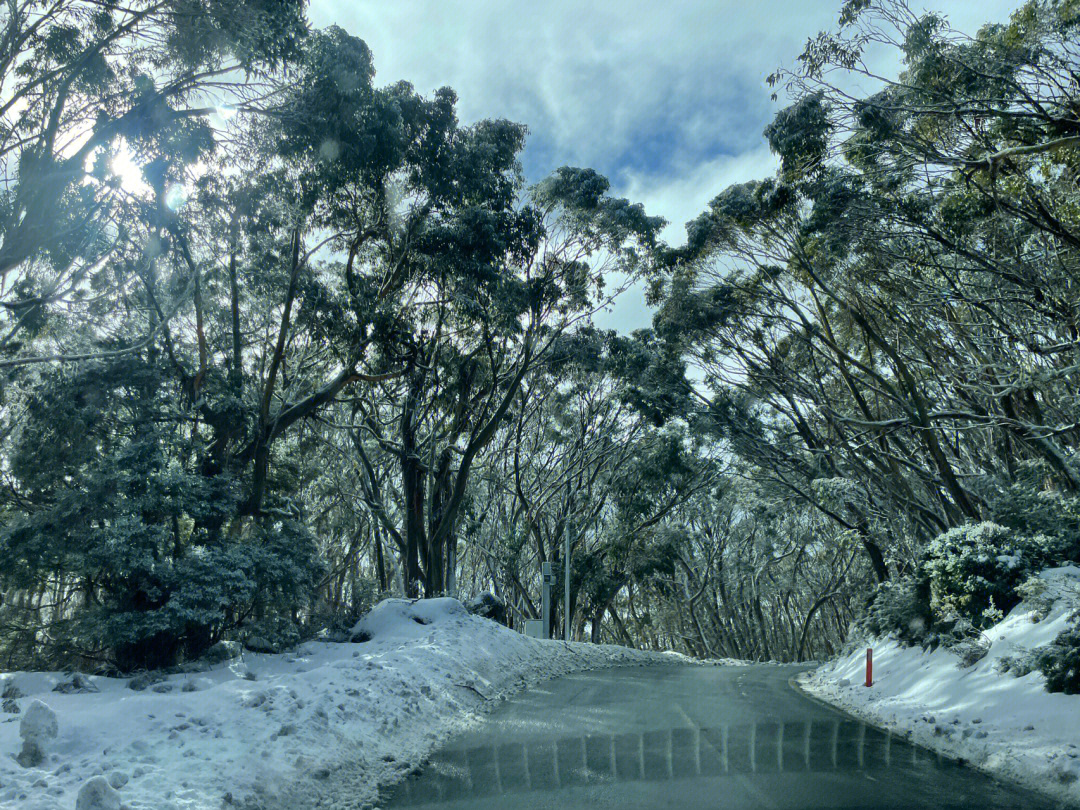 很久很久没见雪了,久违久违!