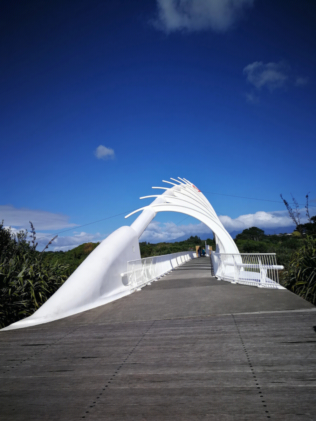 新西兰鱼骨桥