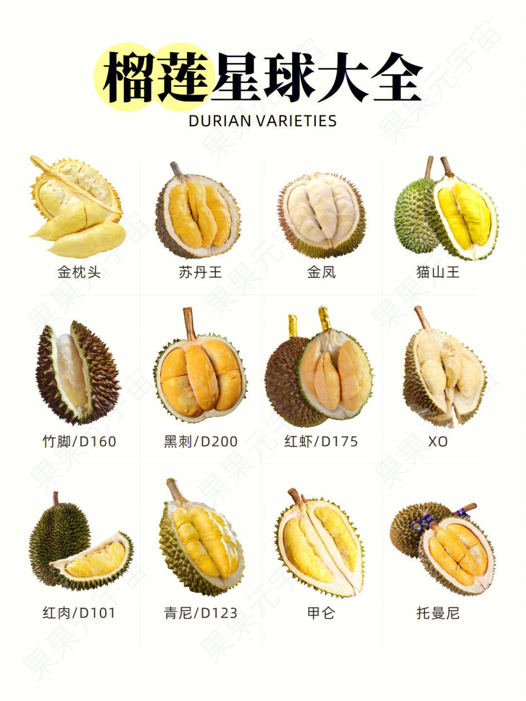 糯米糍榴莲品种图片