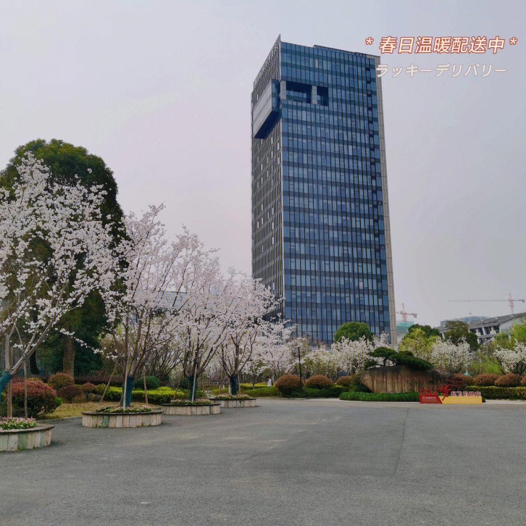 浙江旅游职业学院校区图片