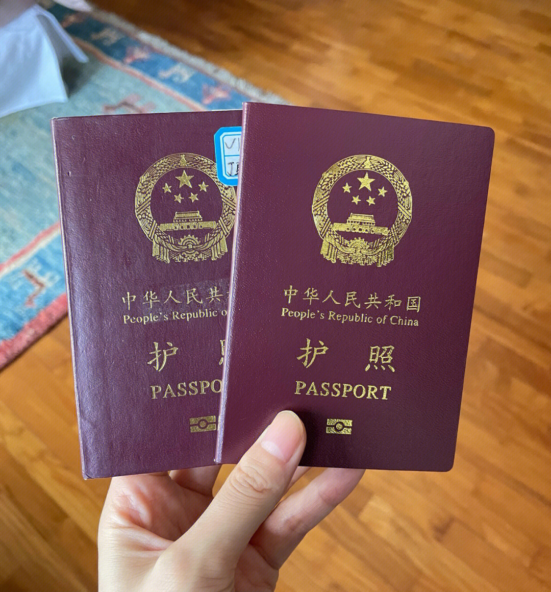 在新加坡换护照
