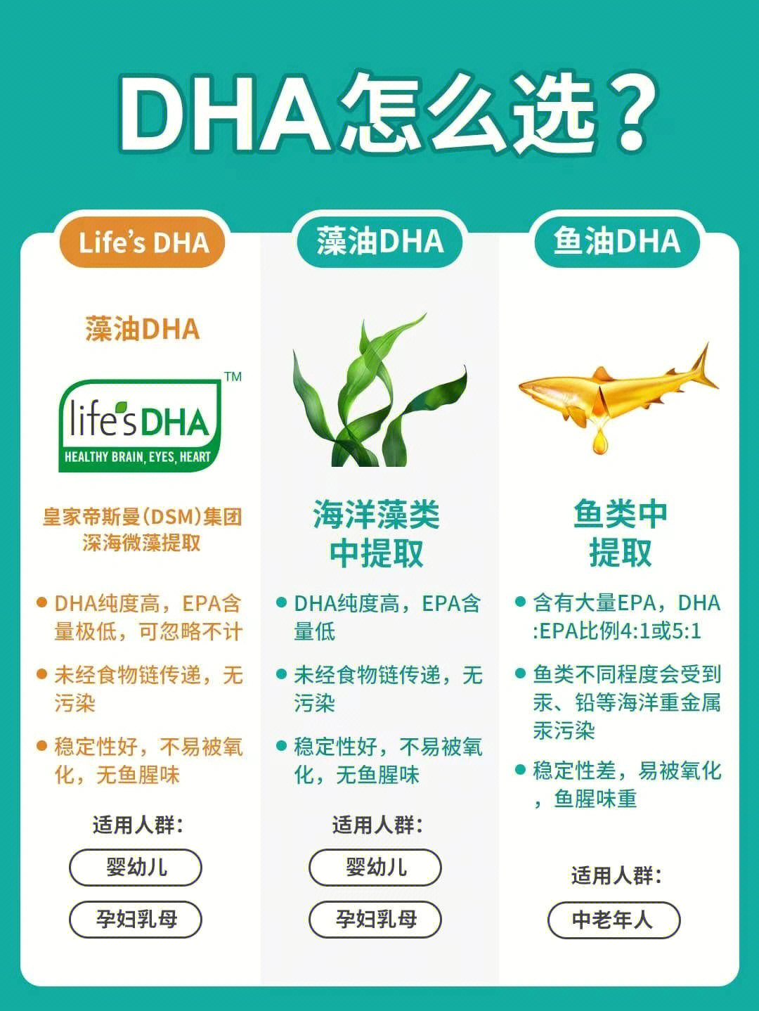 dha藻油的作用与功效图片