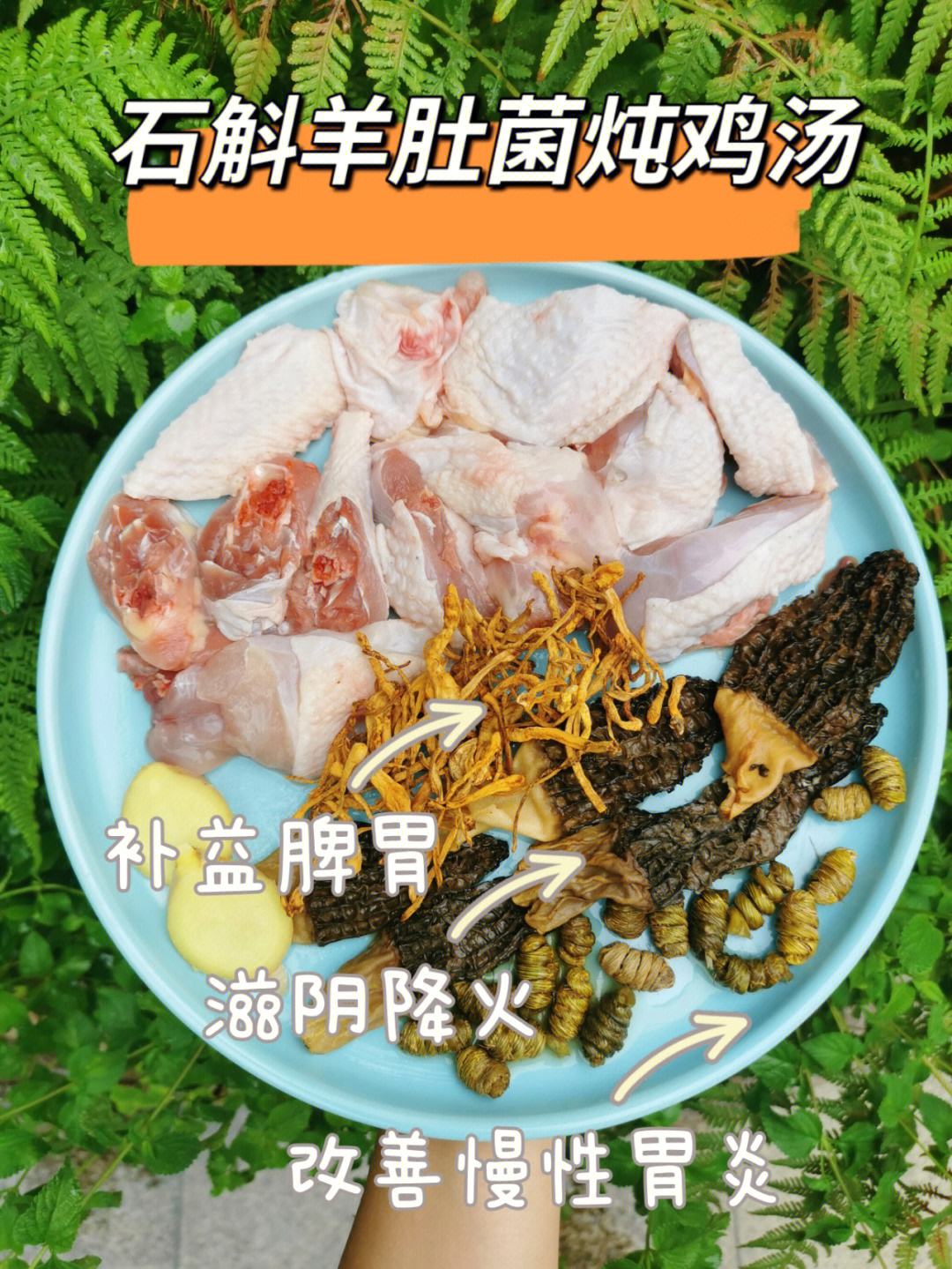 石斛炖鸡汤补益脾胃滋阴降火