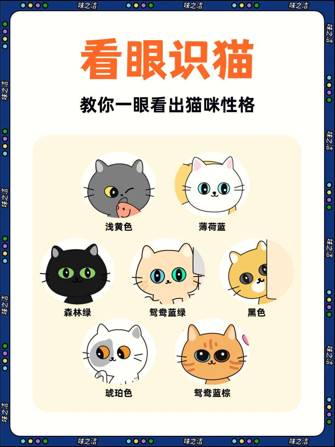 猫的眼睛为什么会变图片