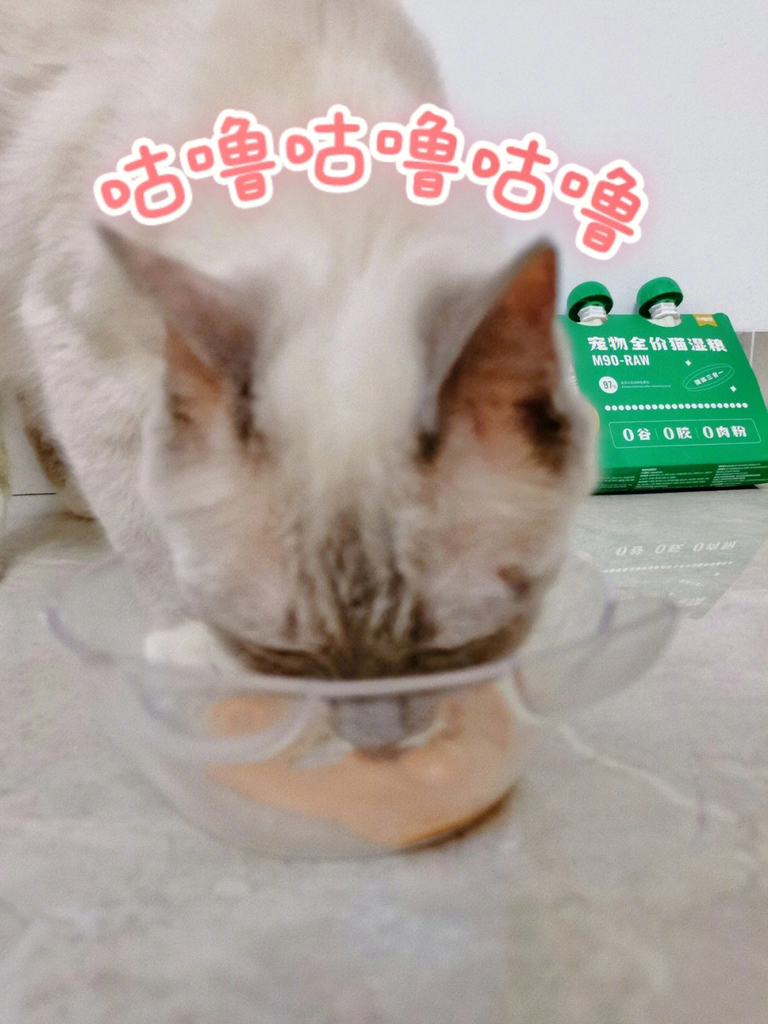 猫咪不爱喝水怎么办