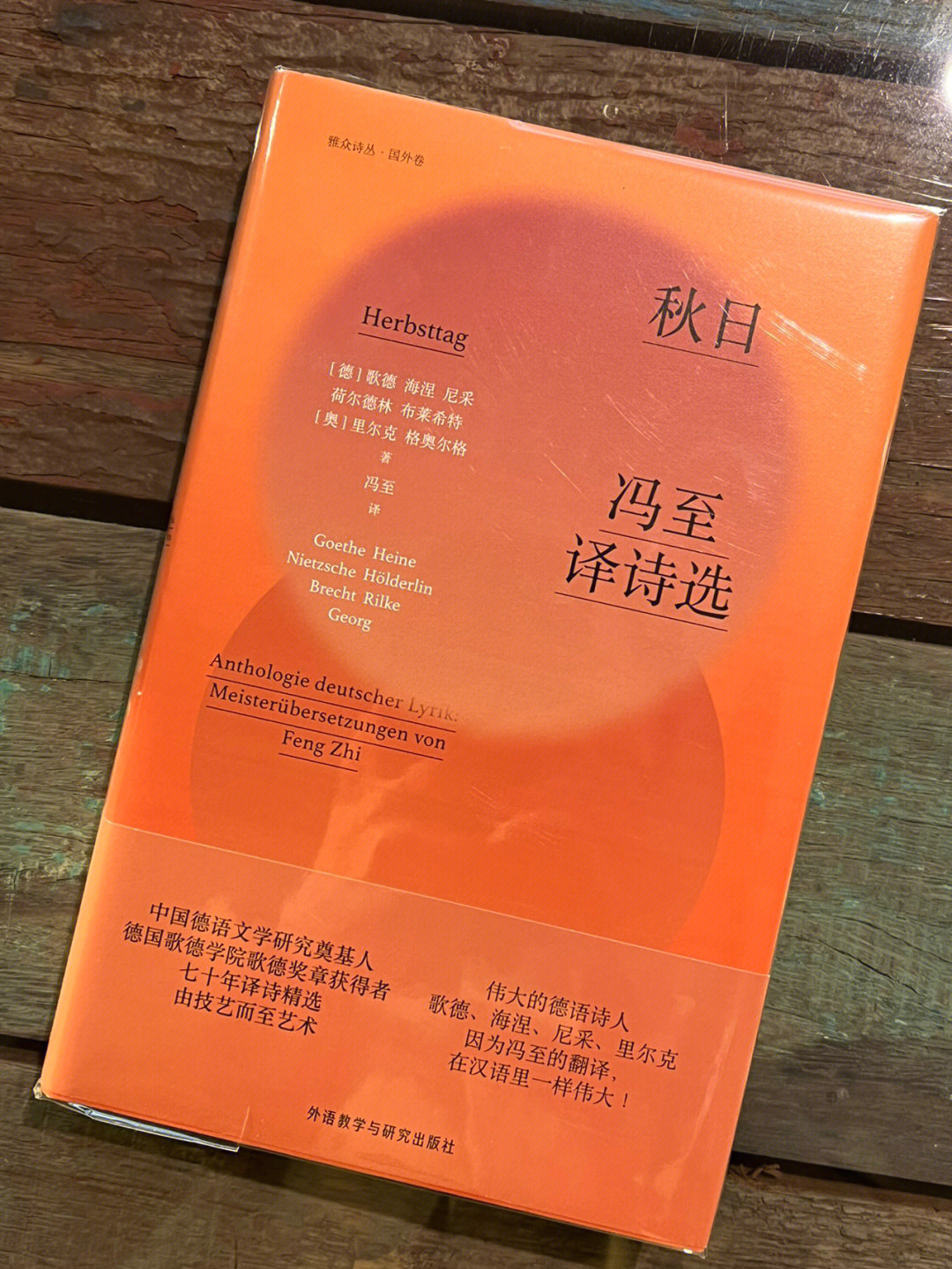 96伟大的德语诗人歌德,海涅,尼采,里尔克,因为冯至的翻译,在汉语里