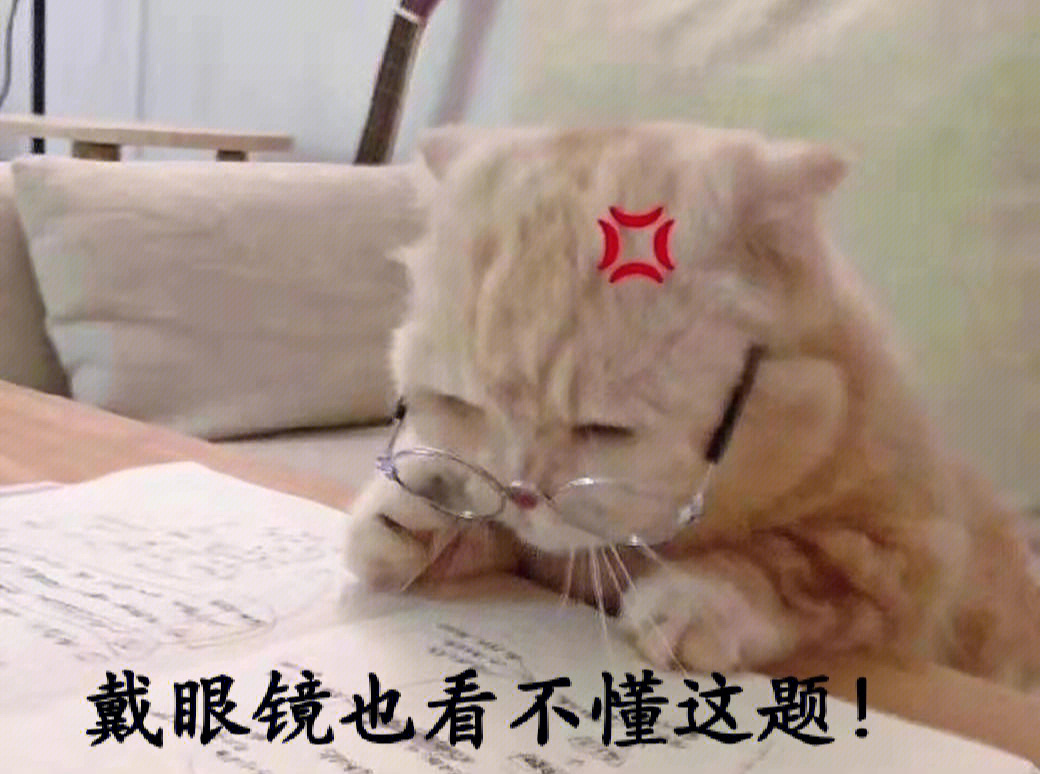 可爱猫猫学习表情包