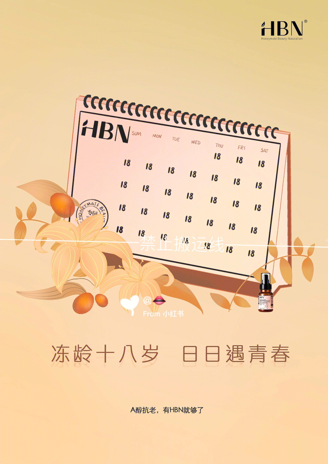 13届大广赛hbn大广赛图片