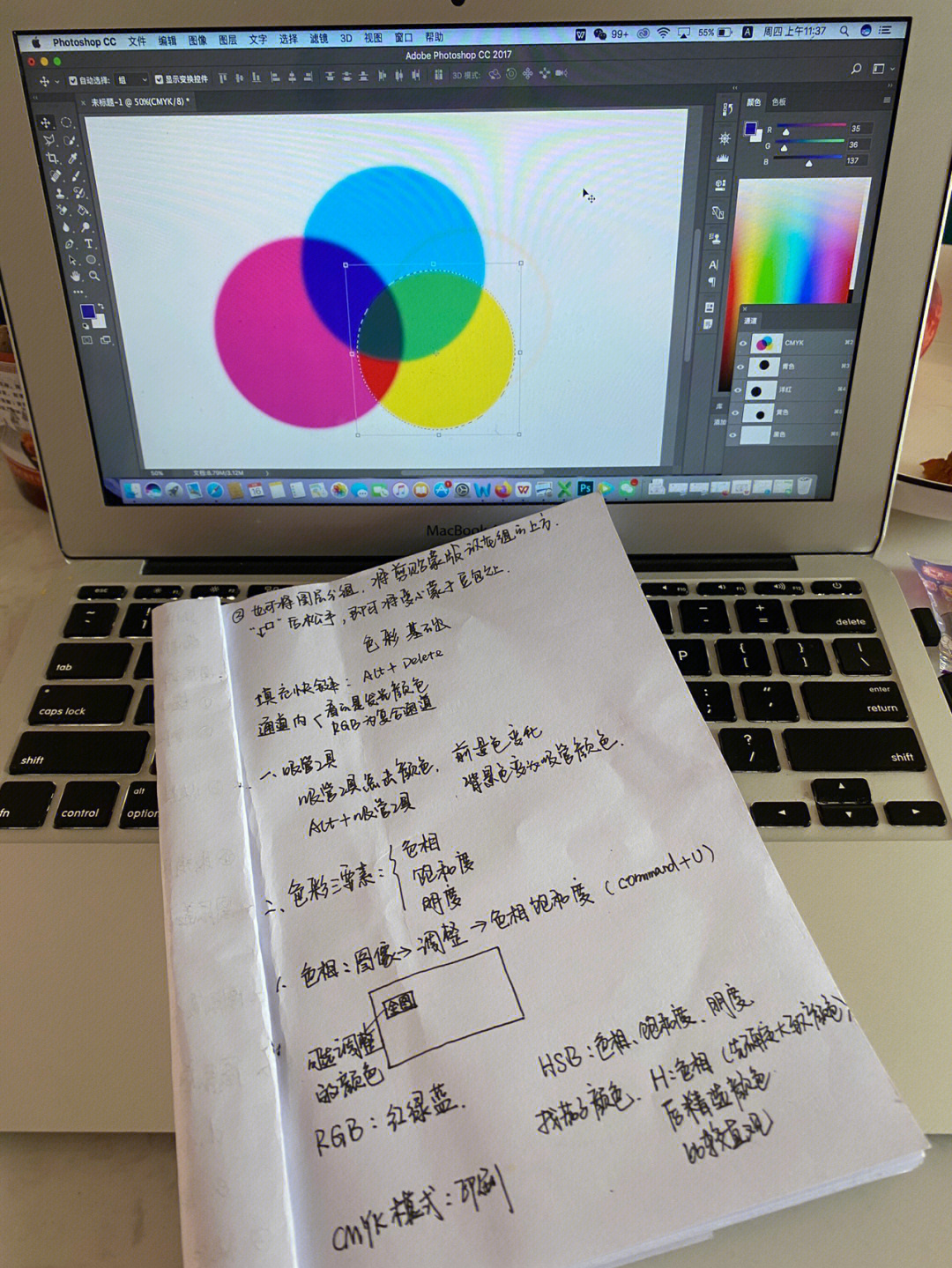 螺旋猫21张PS果图图片