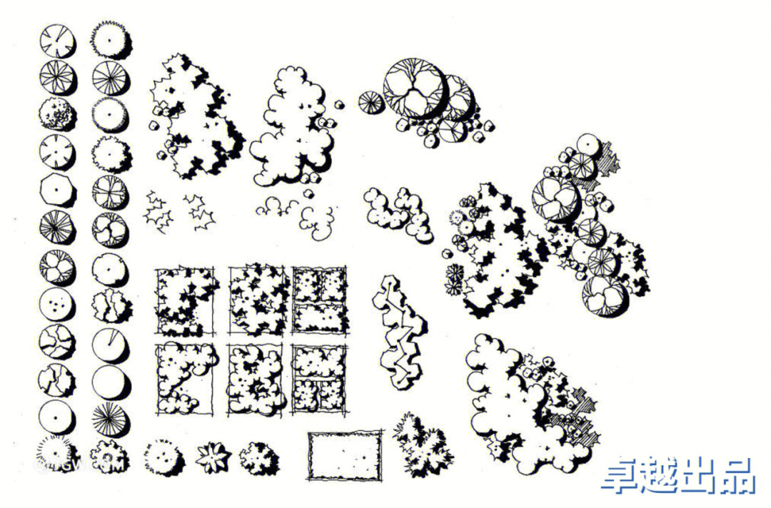 常见植物平面图例手绘图片