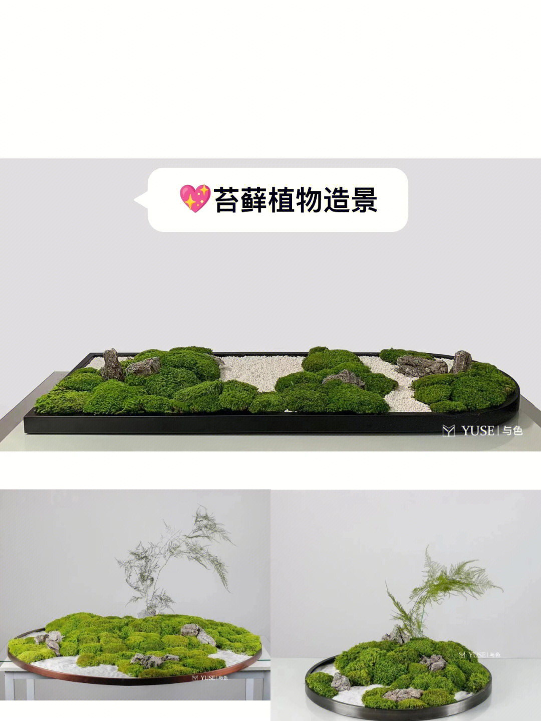 苔藓盆景自制方法图片