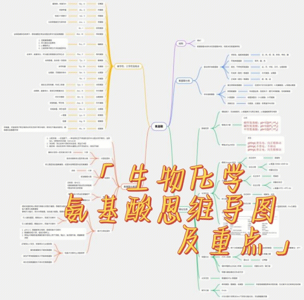 氨基酸的思维导图图片