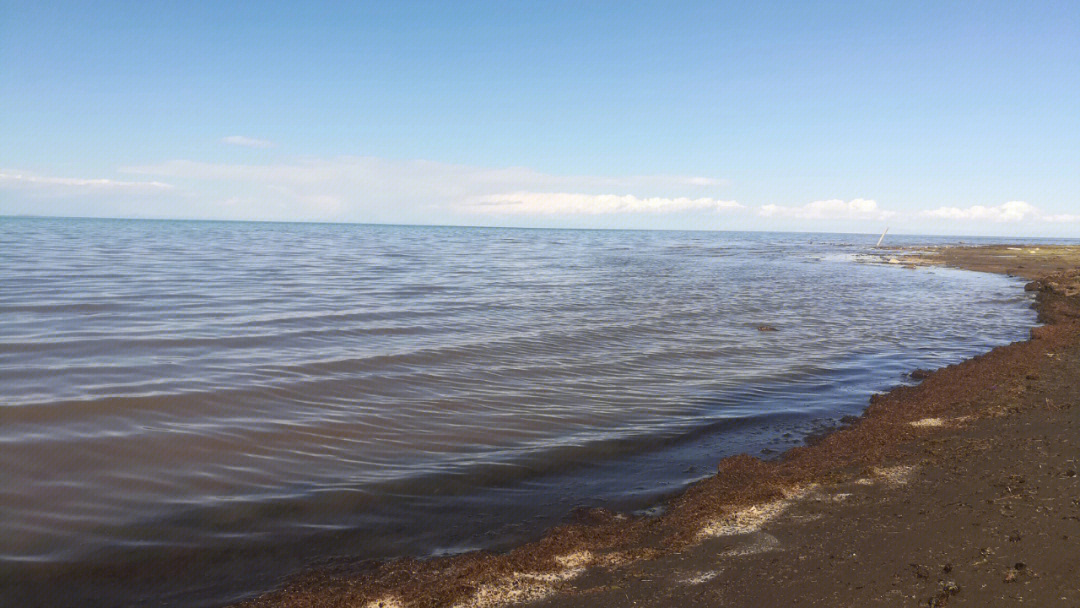 青海湖的沙竟然是黑的