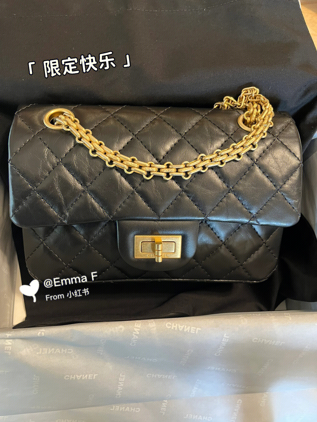 chanel 255 mini