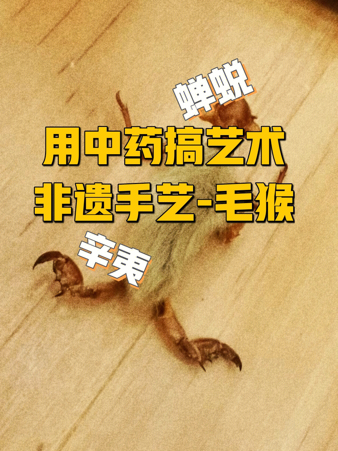 毛猴制作步骤图片