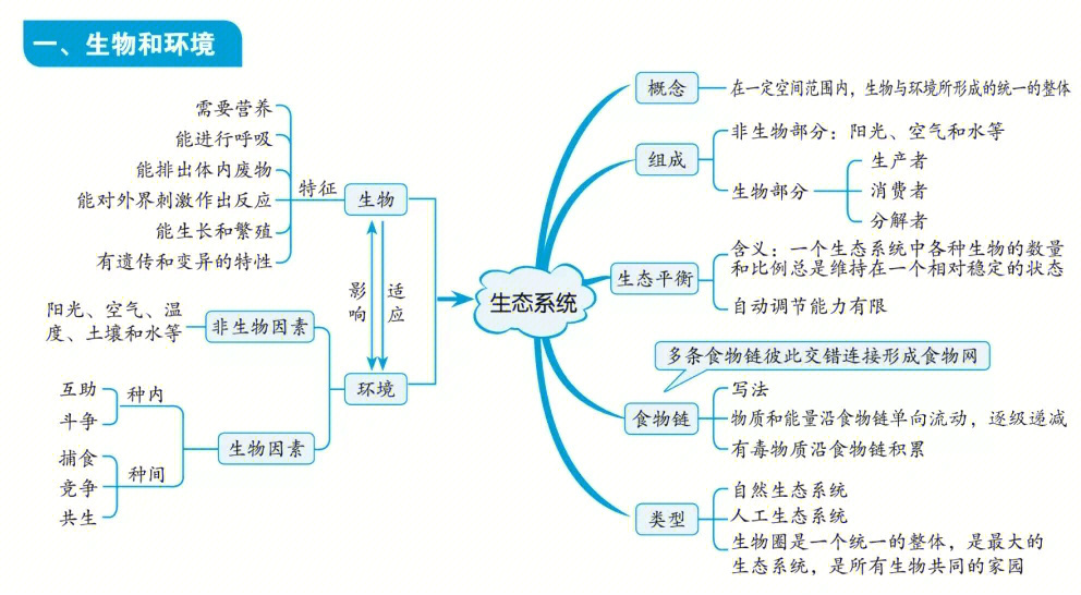 生物概念图 上册图片