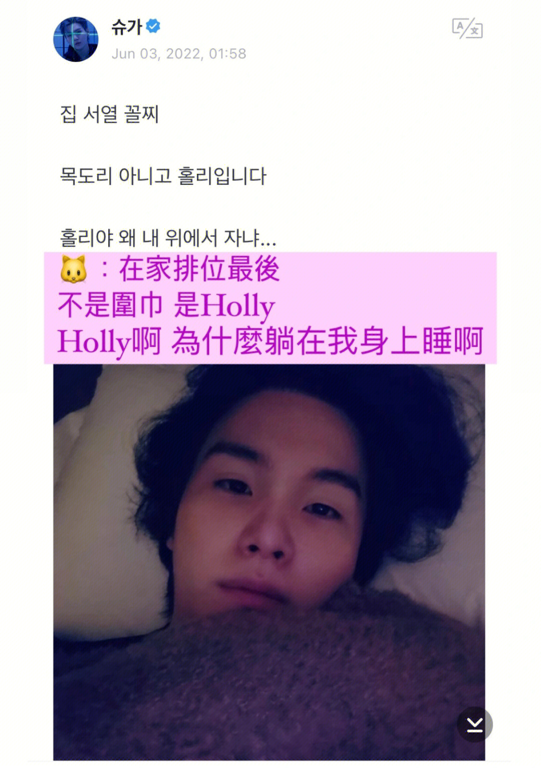 闵玧其的宠物Holly图片