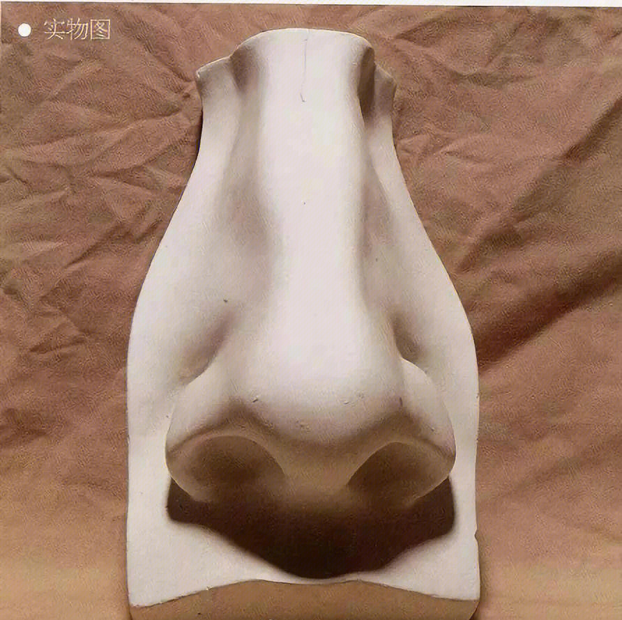 素描石膏头像鼻子剖析